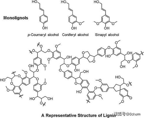 prog. poly. sci.综述 生物基高分子材料 结合化学合成与材料加工